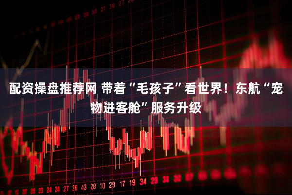 配资操盘推荐网 带着“毛孩子”看世界！东航“宠物进客舱”服务升级